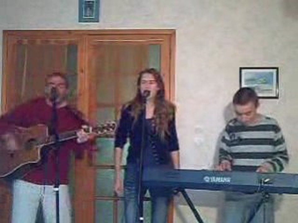 Black horse and the cherry tree