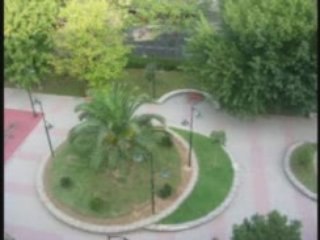 Donna,donna ( Istanbul ) Turquie