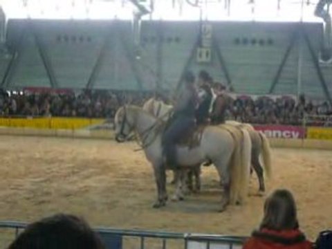 Chevalissimo 2008-camarguais
