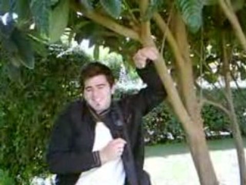 jimmy is shrek ( al star )playback