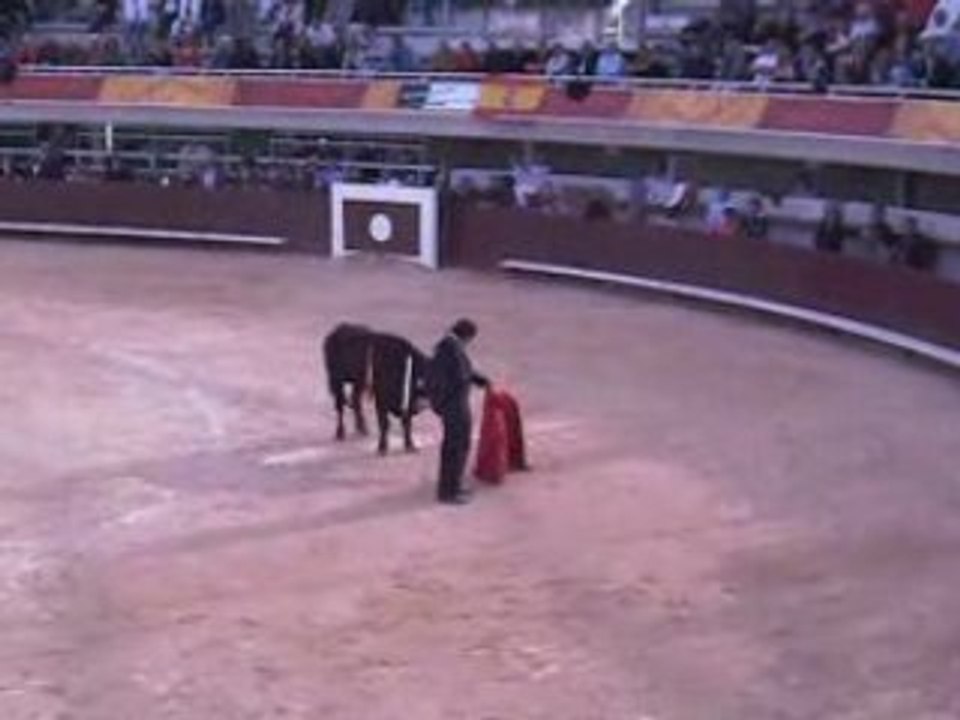 Julio Aparicio festival taurin Istres