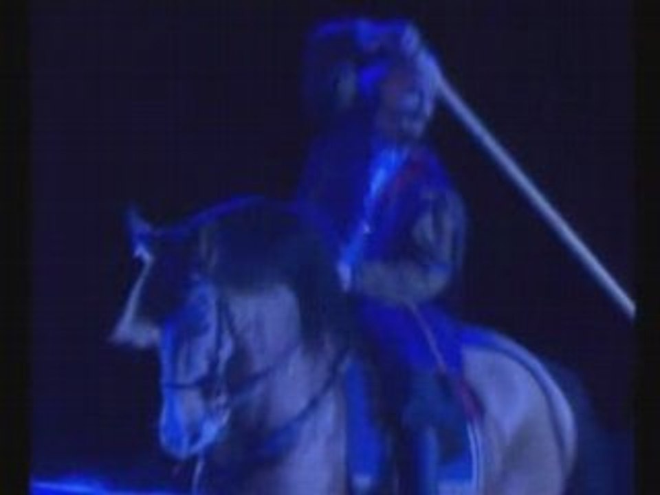 Spectacle équestre Bruno Boisliveau - Don Quichotte