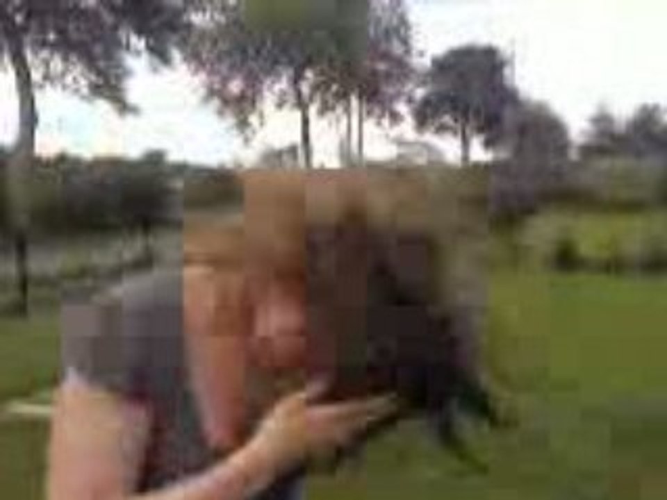 Ellen dans tous ces états