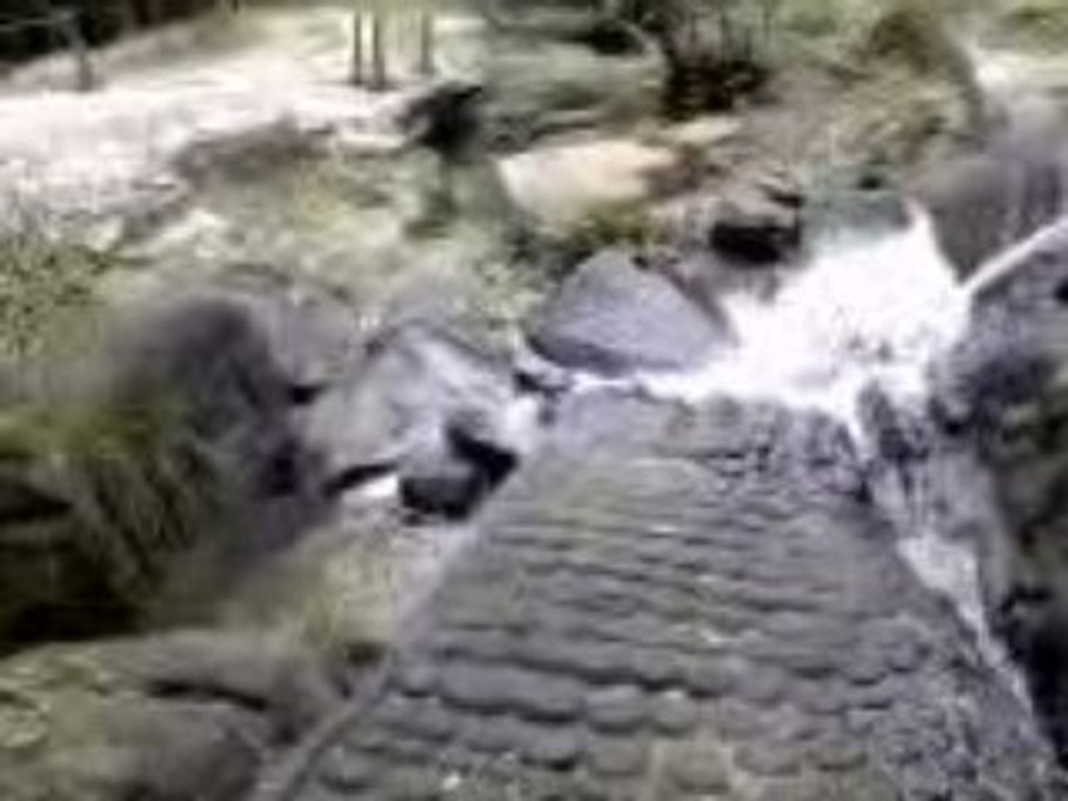 Kbal spean