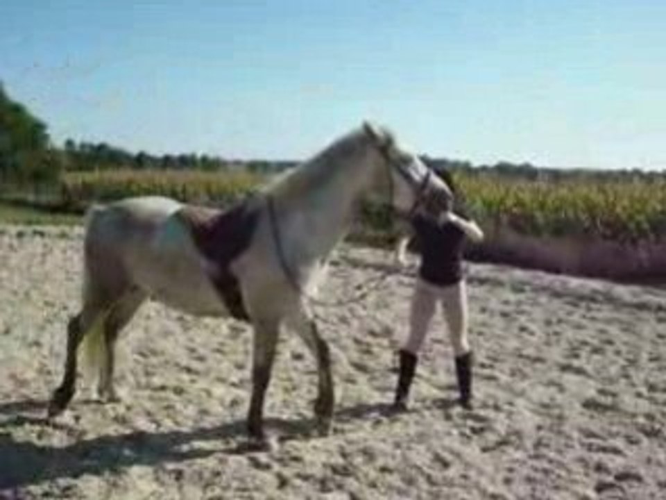 Quezac début pas espagnol