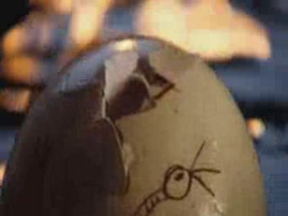 Merlin 1x03 - Download any Episode & Season!