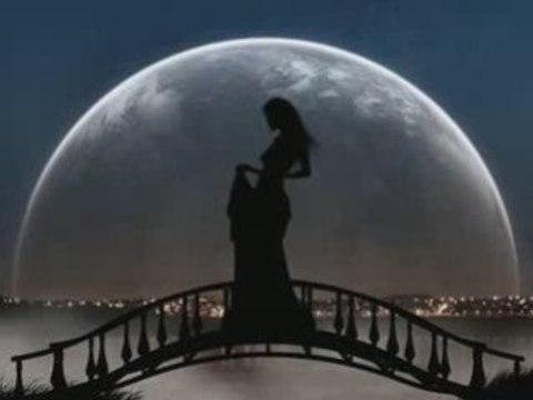 Bravo mr le monde - michel fugain