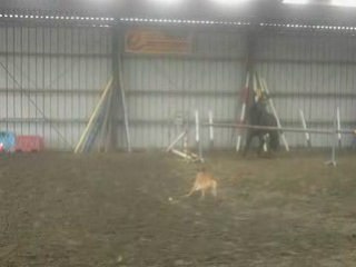 Saut liberté 13 sec