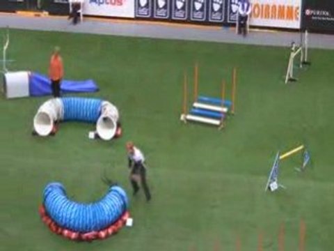 Beauceron Championnat du Monde d'agility 2