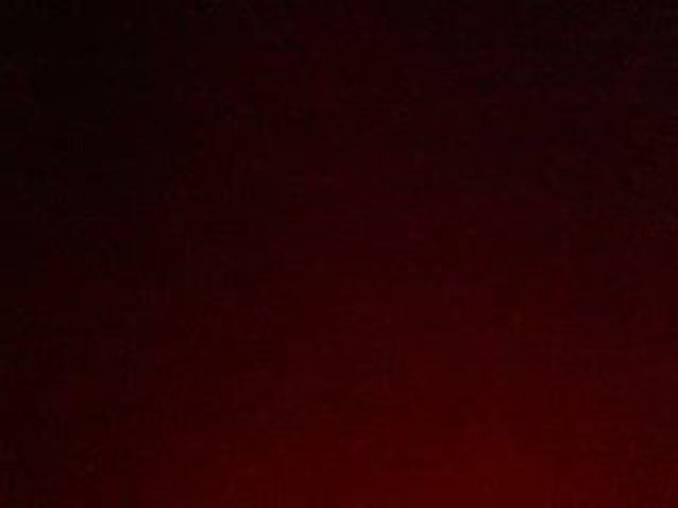 Little - Petite coccinelle