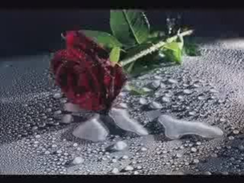 HAKAN ALTUN-DAYANAMADIM