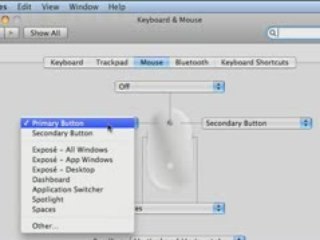 How to Enable Right-Clicking on the Apple Mighty Mouse