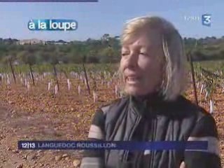 le doublement de l'A9 et ses conséquences sur le vignoble