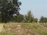moi en dirt bike au boupere(85)