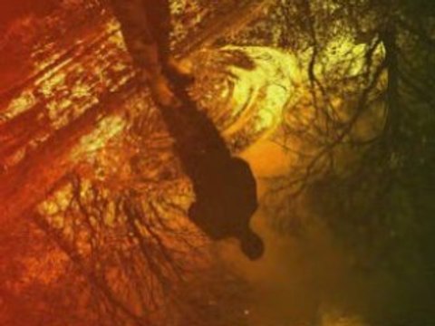 Il n'y a pas d'amour heureux Aragon