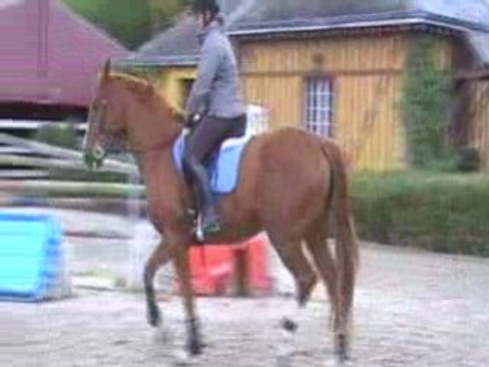 Quatr'étoile2