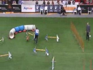 Nova Scottia 1 Championnat du monde d'agility