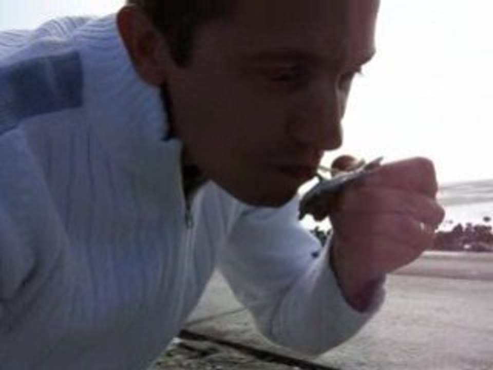 degustation huitre passage du gois