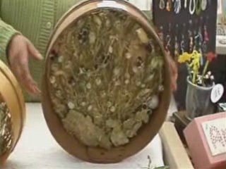 CHICHARO ALVAIAZERE VI Festival Gastronómico do Chícharo