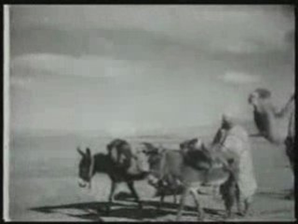 Ruhi SU Şeker dağı