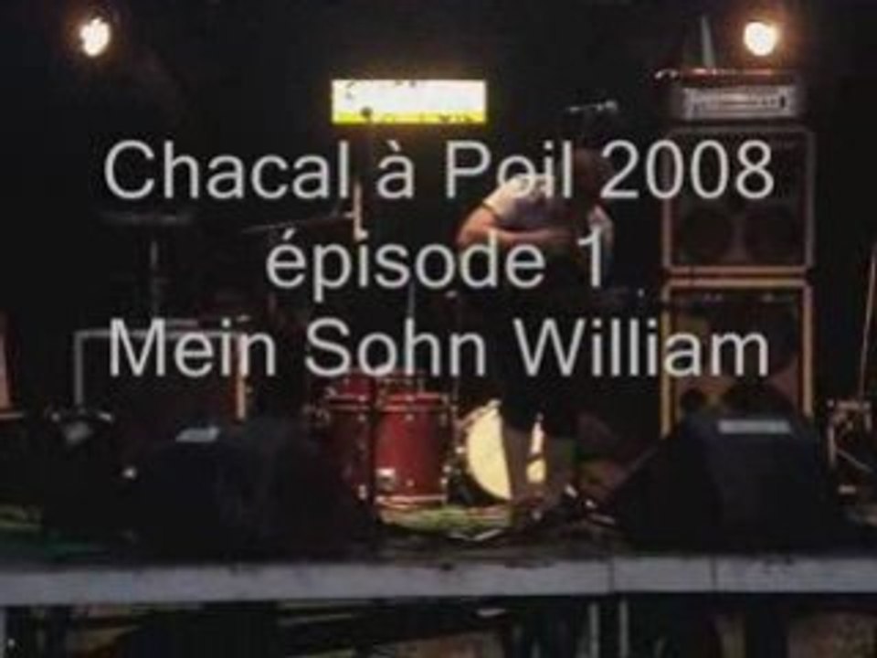 Chacal à Poil