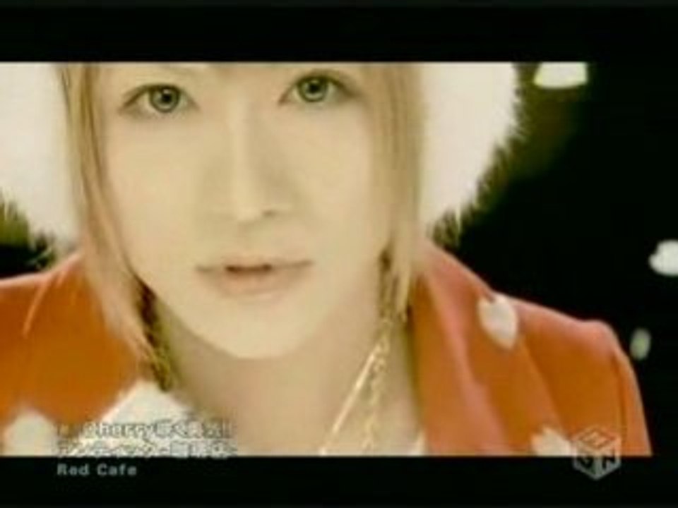 An cafe - cherry saku yuuki
