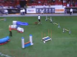 Nova Scottia 3 Championnat du monde d'agility