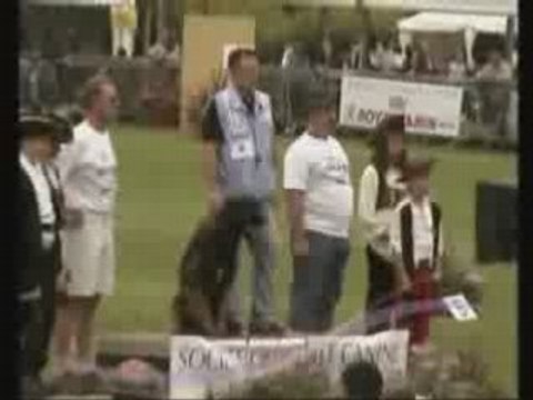 Virus Du Musher Touquet 2008