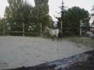 Sublime et moi 06 octobre 2008