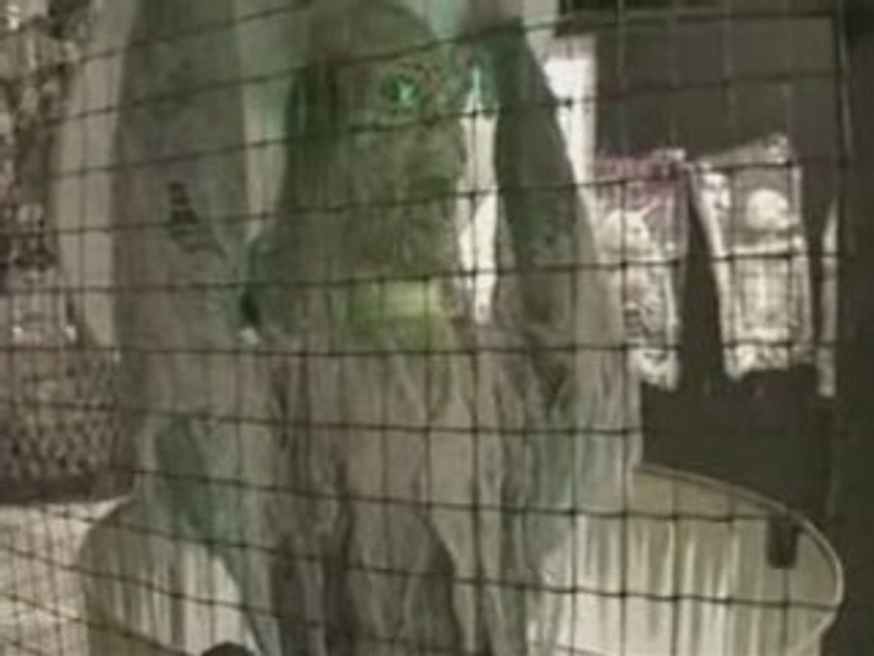 Haunted Animatronics - Toxic Zombie Animated