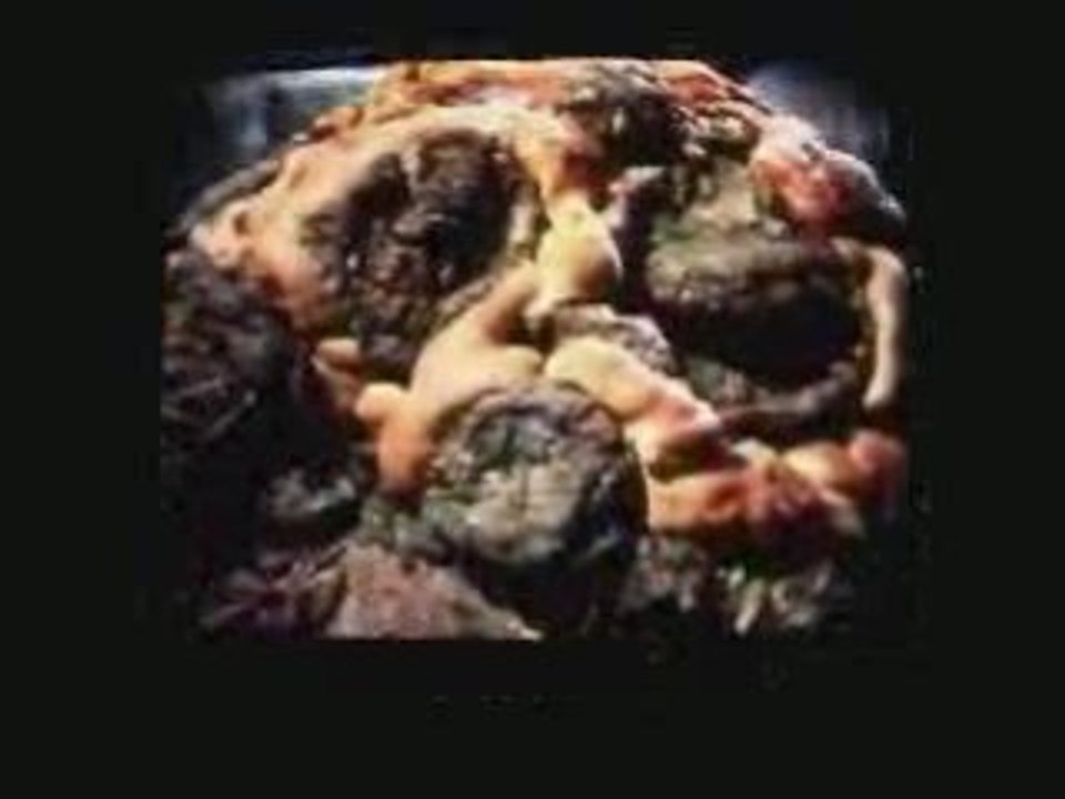 Star Drek (Kansas Of Elsass)