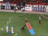 Silky 2 championnat du monde d'agility
