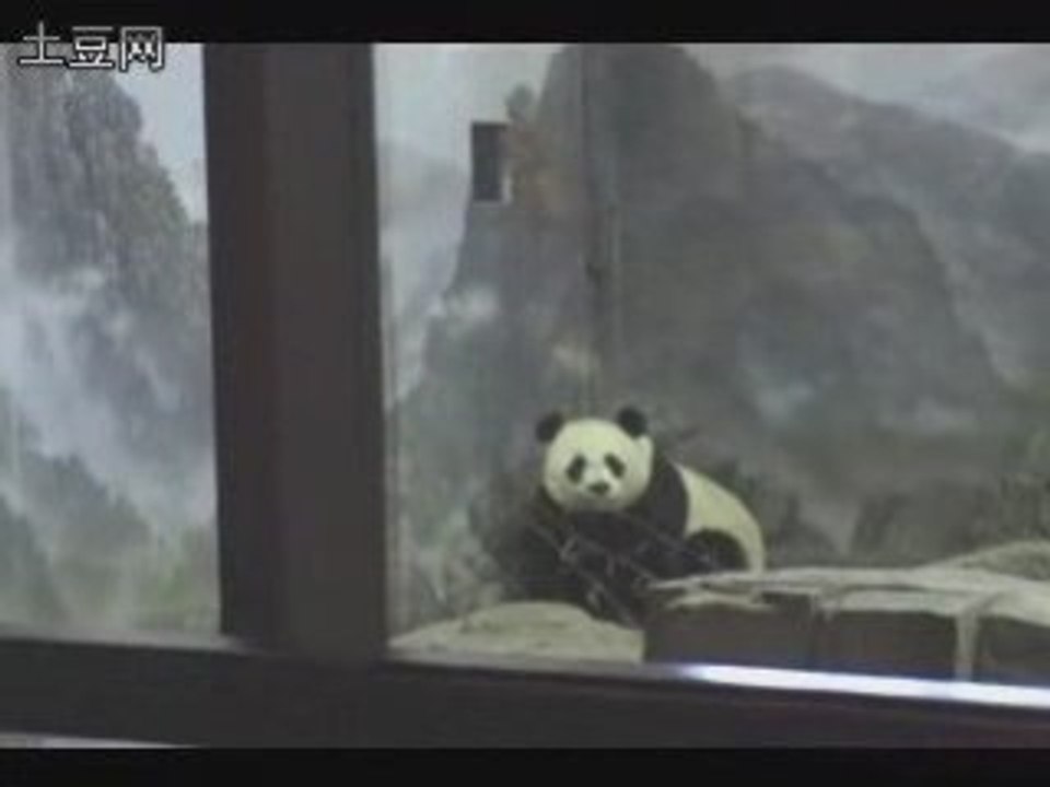 Pandaprisonescape