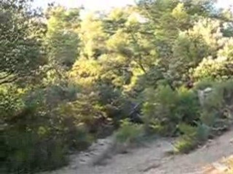 VTT REGAGNAS JUMP 2008