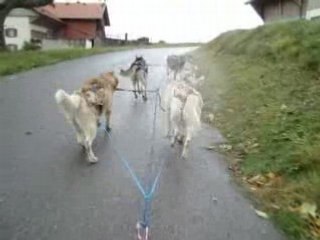 Suite de la balade...