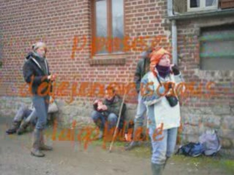 Pluris