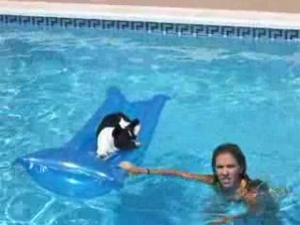 Navegando