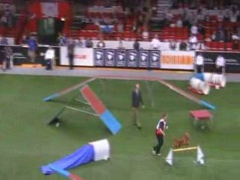 Golden Championnat du monde d'agility