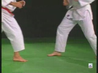 Déplacements Ayumi ashi