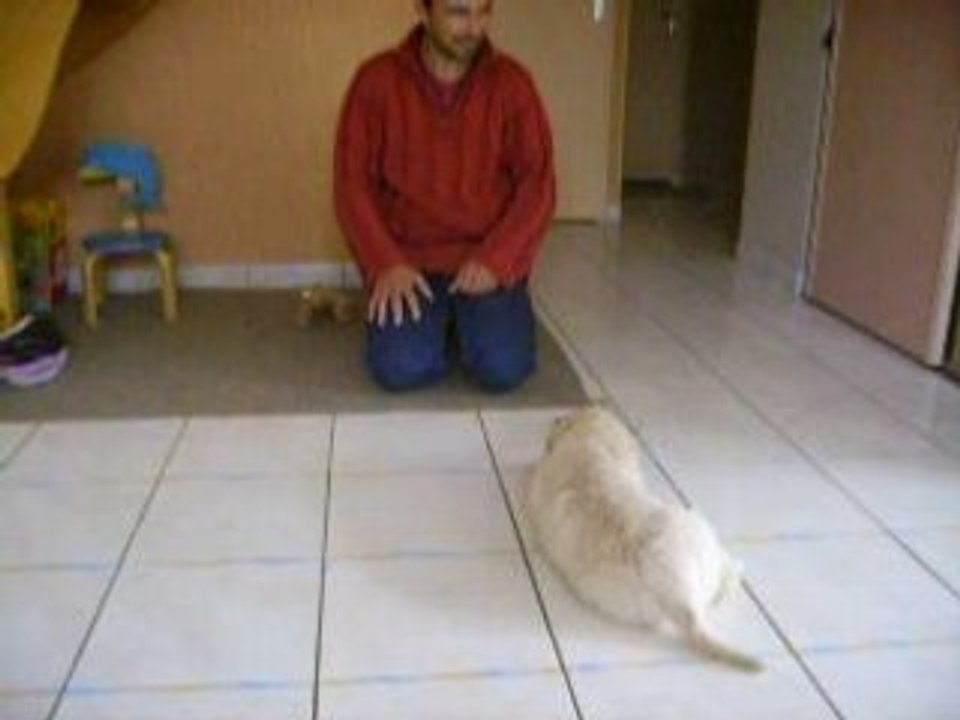 les bébés à 6 semaines