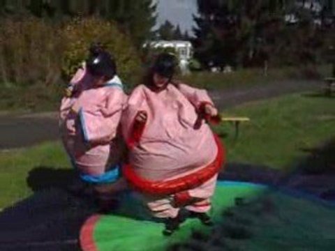 Collector - Combat de Sumos