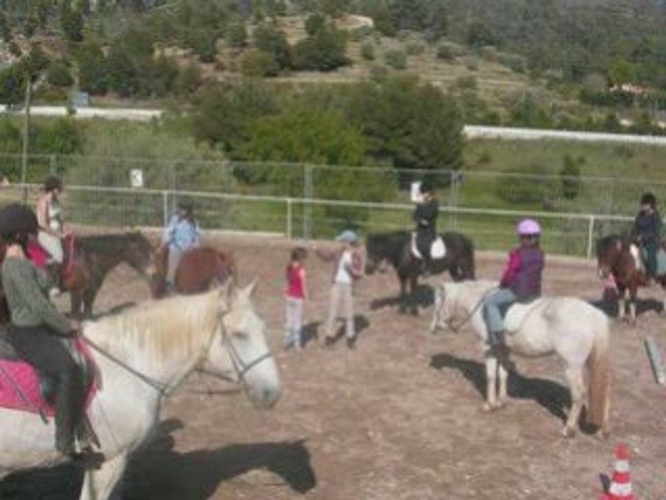 Le centre equestre " La jument pie "