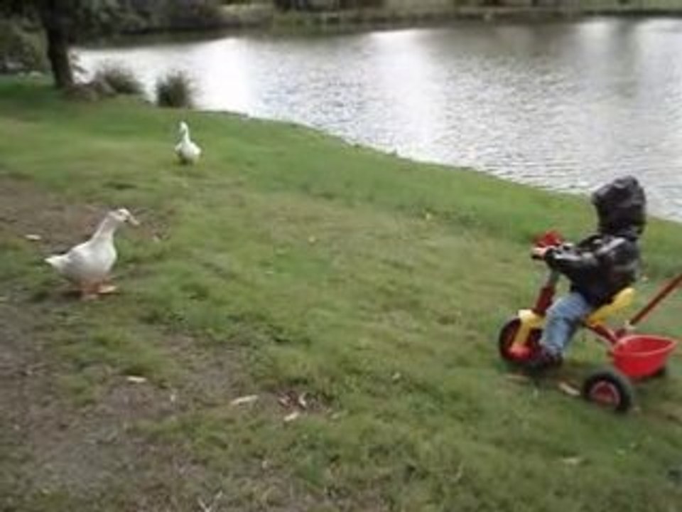 louka en promenade