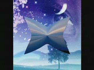 φεγγαρολουλουδα [High quality and size]