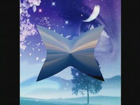 φεγγαρολουλουδα [High quality and size]