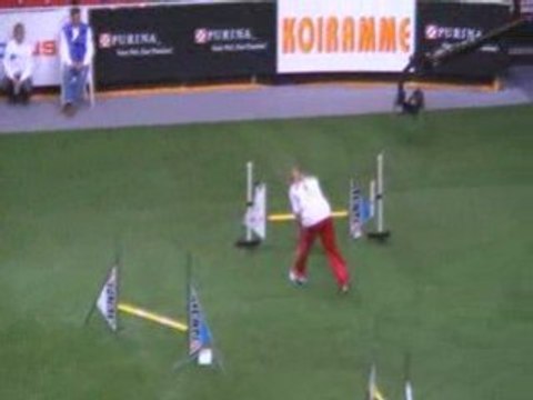 Houpette Championnat du monde d'agility