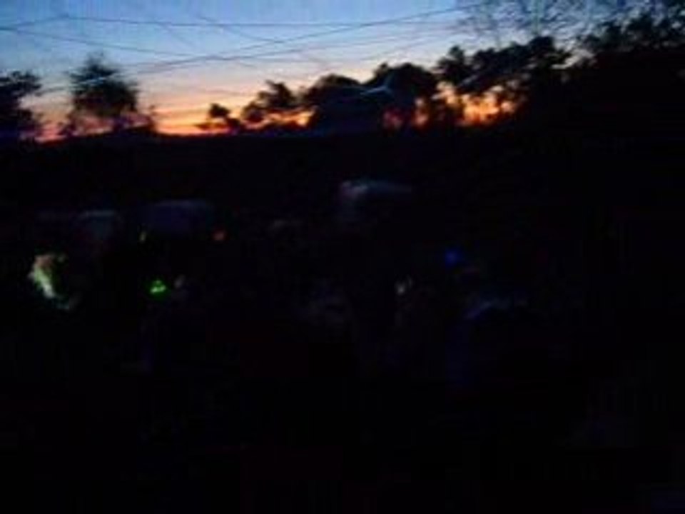 teuf pentawatt vs lézard libre