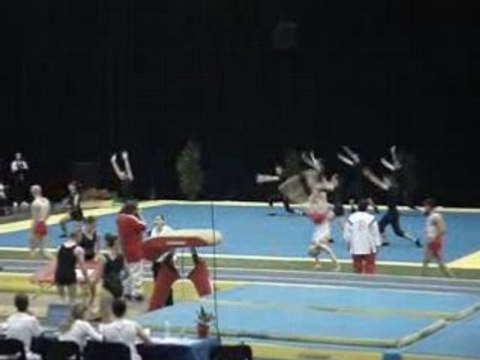 teamgym montluçon 2007 à Montluçon