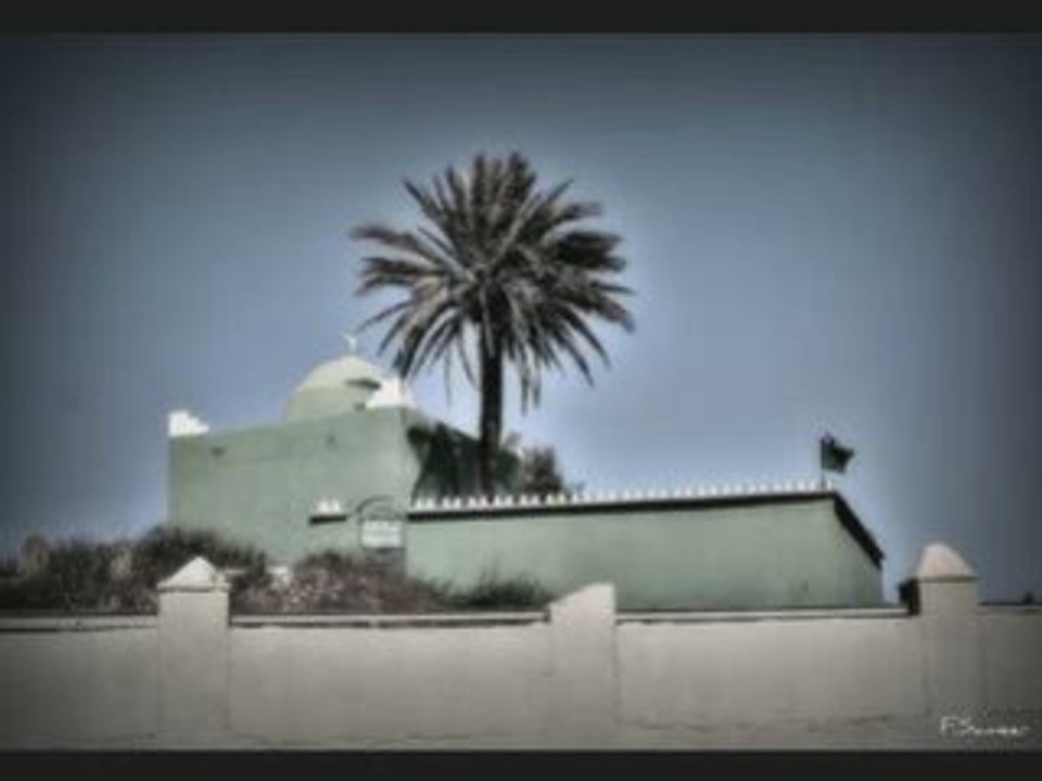 KARKABOU MAGHNIA 2008