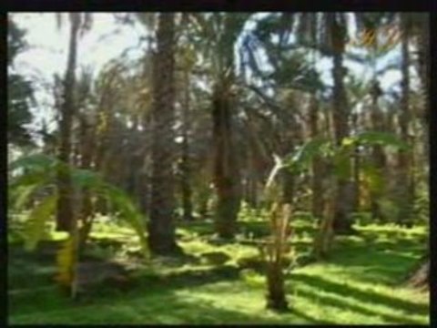 Medyen Kavminin Özellikleri Bölüm 3